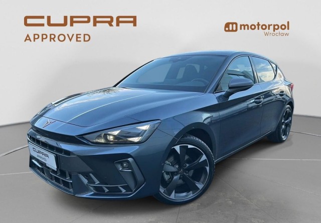 cupra